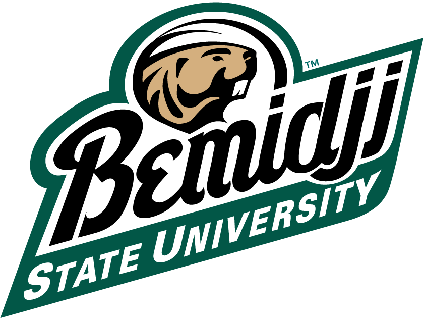 Bemidji State Beavers 2004-Pres Alternate Logo DIY iron on transfer (heat transfer)